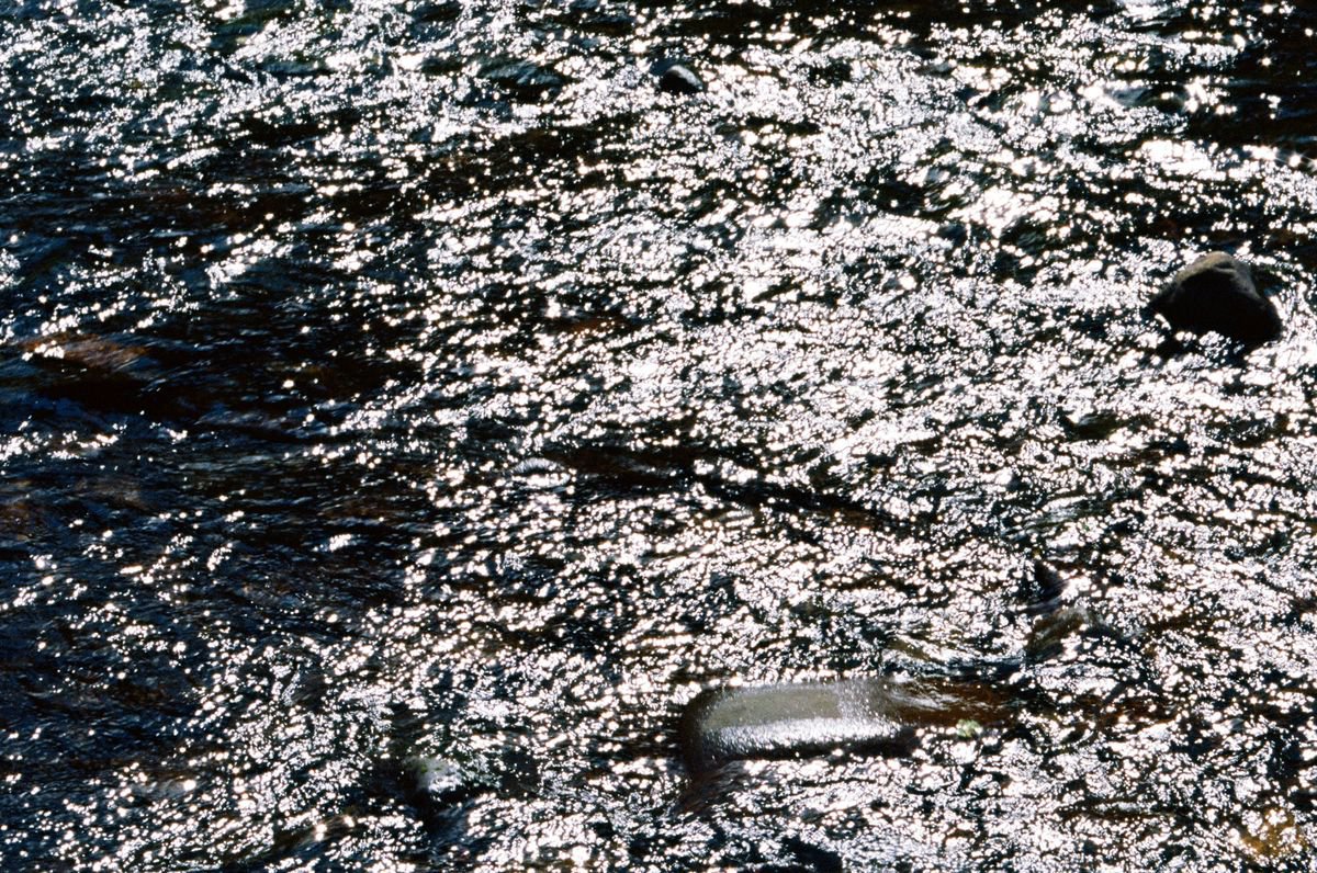 Organic Abstract Photograph By Justice Hyde, 36 X 24", Water 4 - Unmounted, Original Artwork