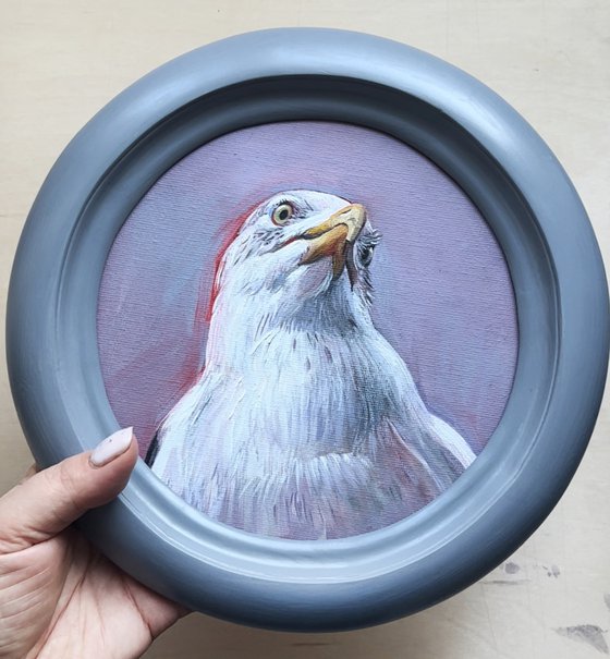 Portrait of a seagull.