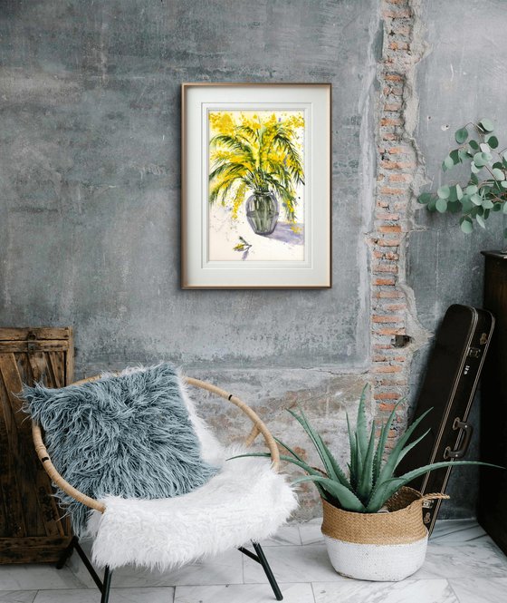 Mimosa branch Acacia Dealbata