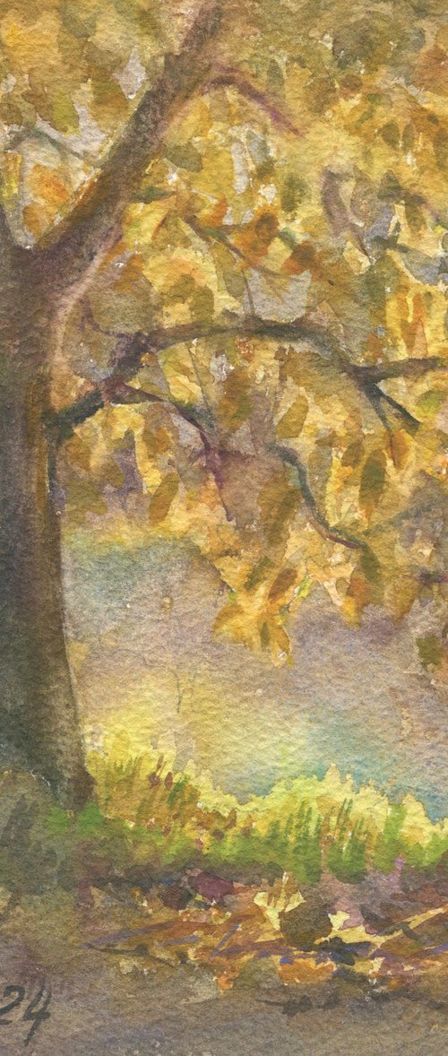 Shining Autumn. Walnut tree by Olha Malko