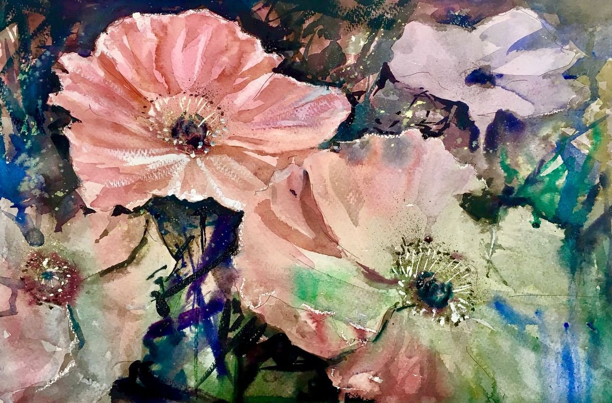 Poppies by Anthony Barrow BA(Hons) Fine Art