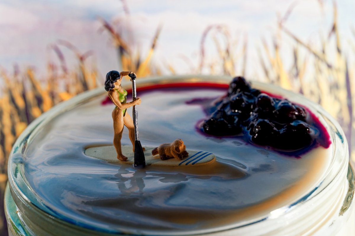 Organic Photograph , Yoghurt Paddle Boarding By Marc Ehrenbold, 39 X 30, Artwork For Sale On Artfinder