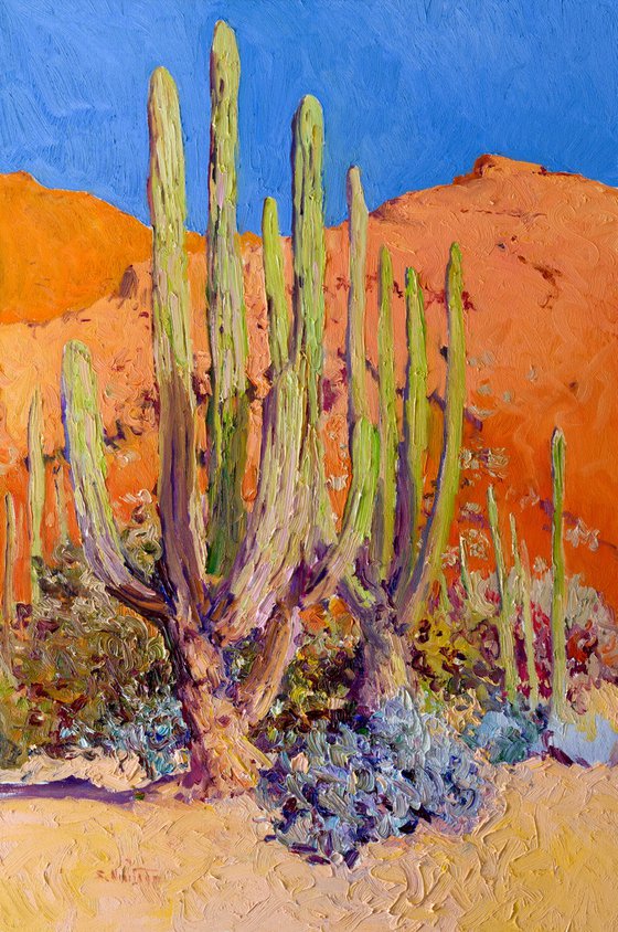 Cactuses in the Desert