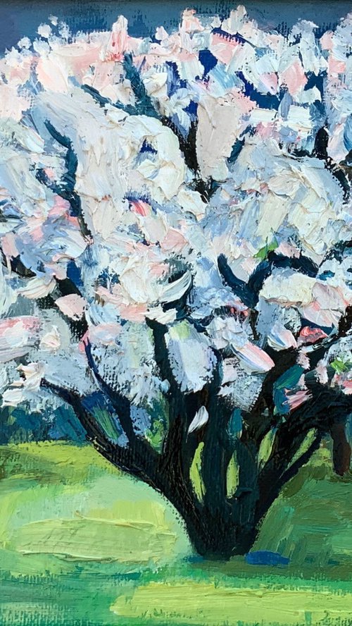 Spring by Elena Tomilova