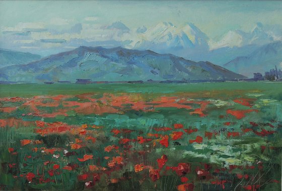 "Poppies have bloomed"