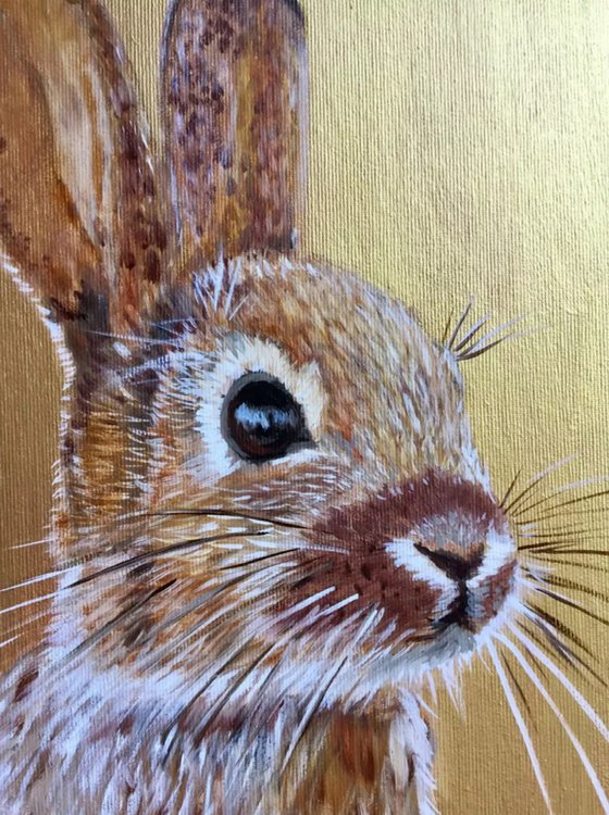 Rabbit