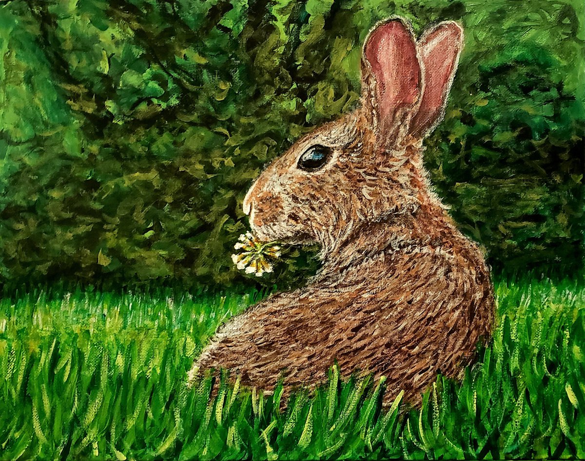 Rabbit Eats Flower by Robbie Potter