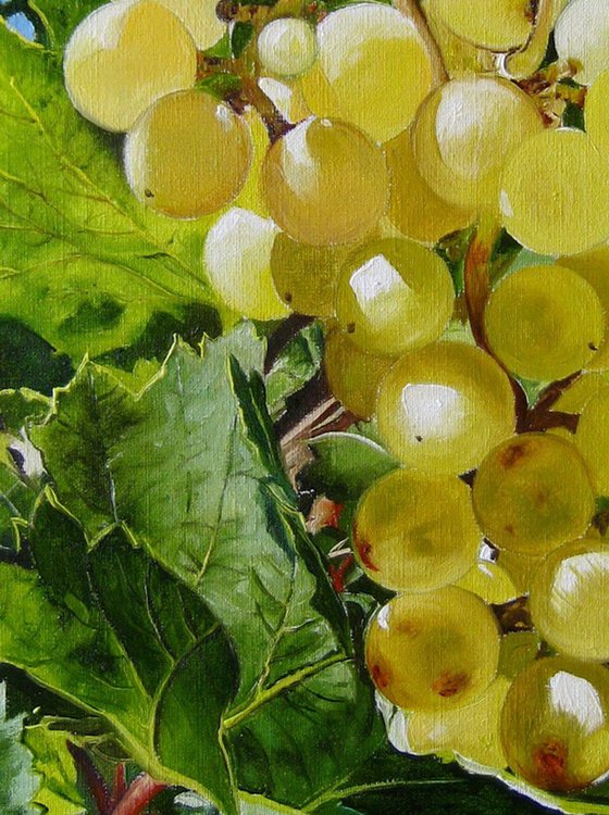 Grape Painting Realistic Sunny