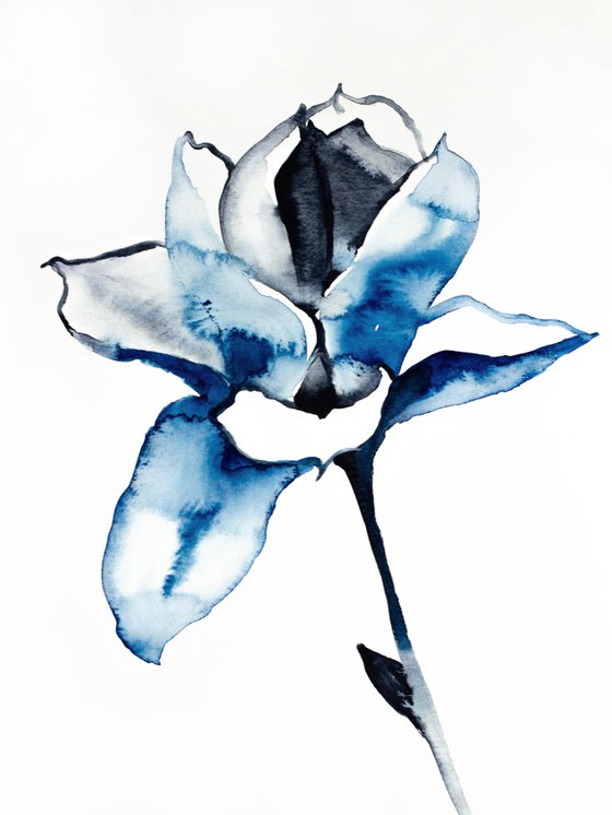 Magnolia No. 38