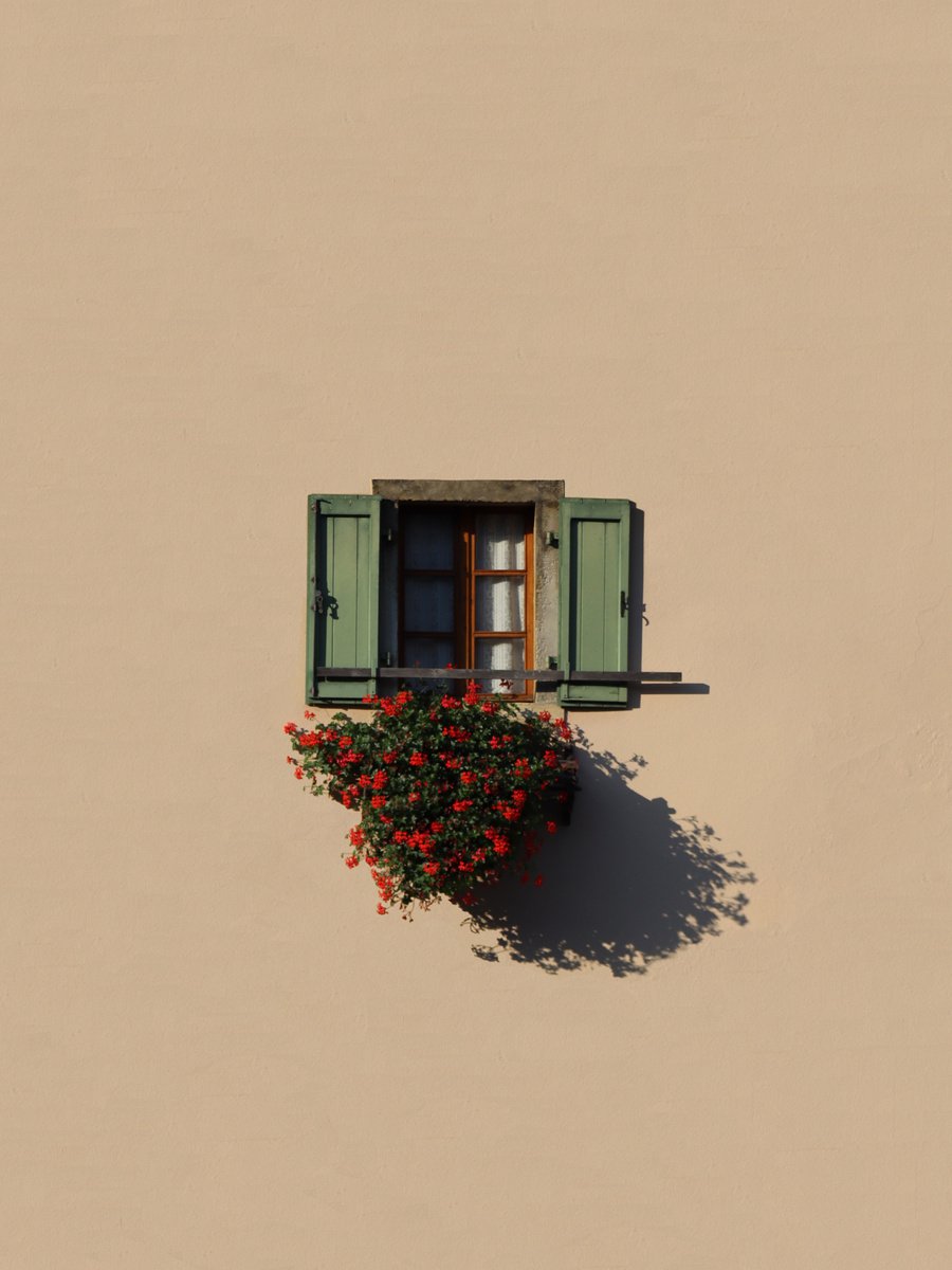 Cityscapes Photograph By Marcus Cederberg, 20 X 28", Green Fingers, Original Artwork