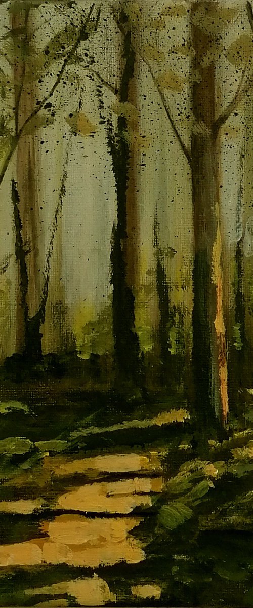 Setting Sun by Alan Harris