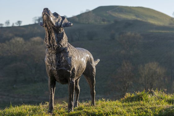 "Leo" Labrador Bronze Resin