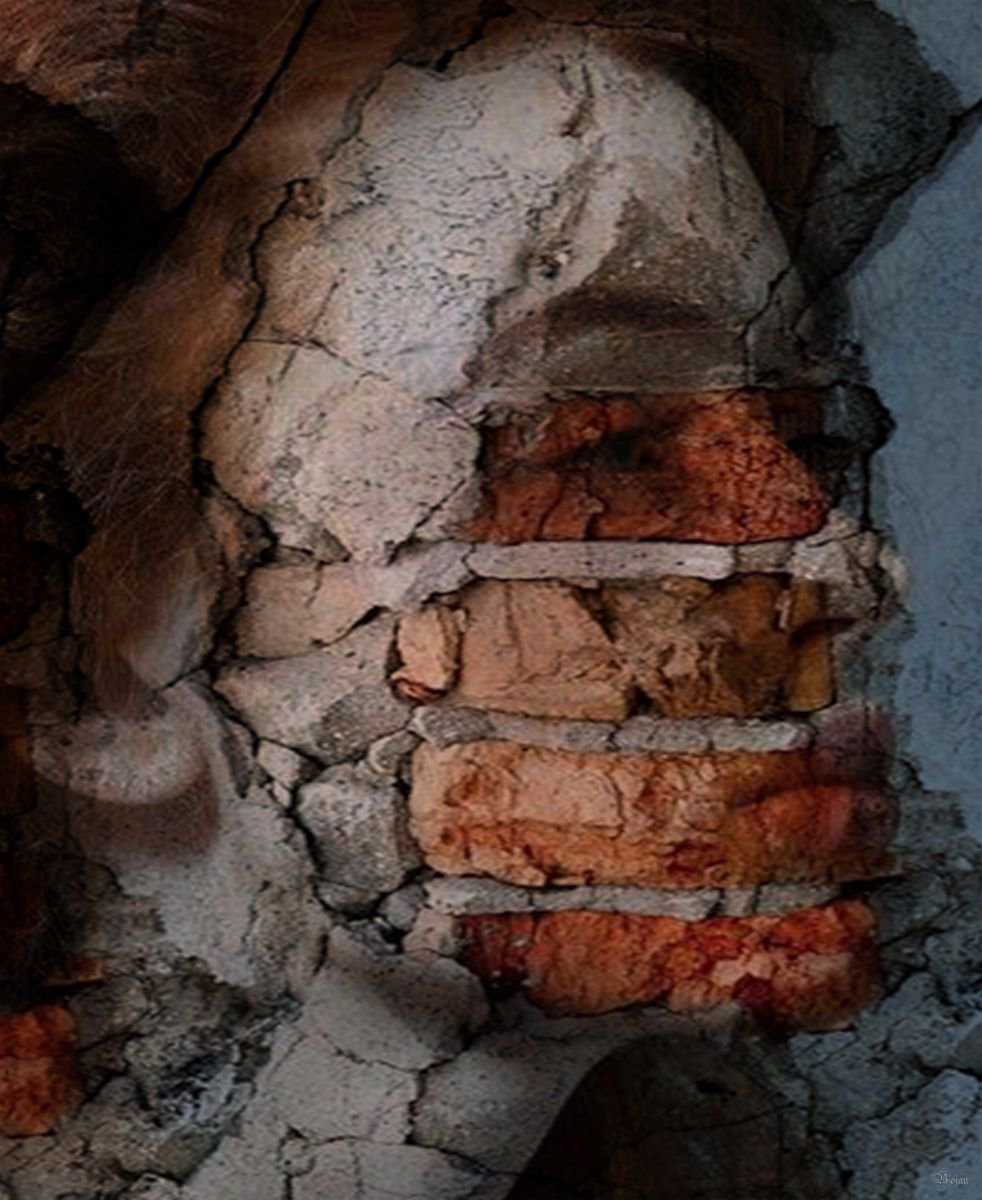 Illustrative Portrait Photograph By Bojan Jevtic, 35 X 43, The Wall, Original Artwork