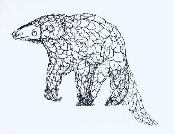 The Curious Pangolin