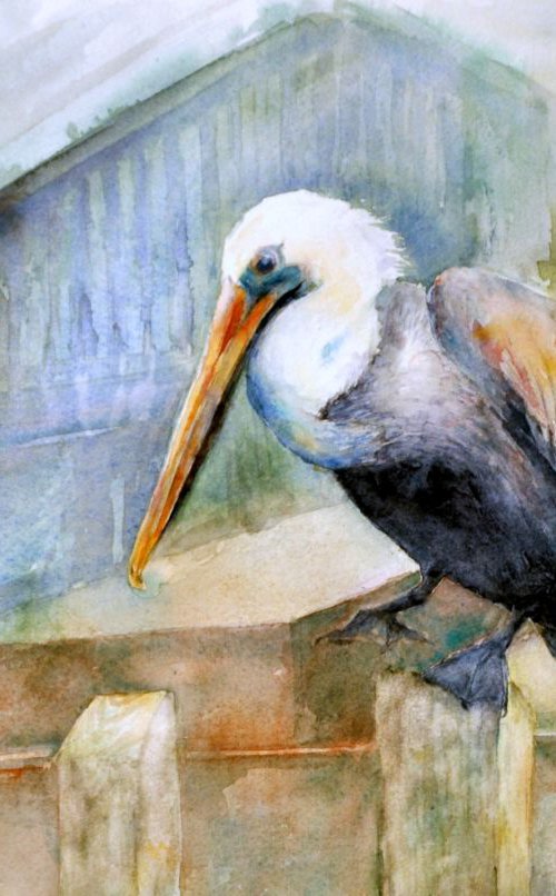 BROWN PELICAN original watercolour 46x32 by Beata van Wijngaarden