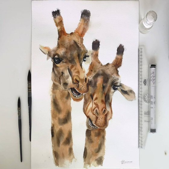 Pair of Giraffes