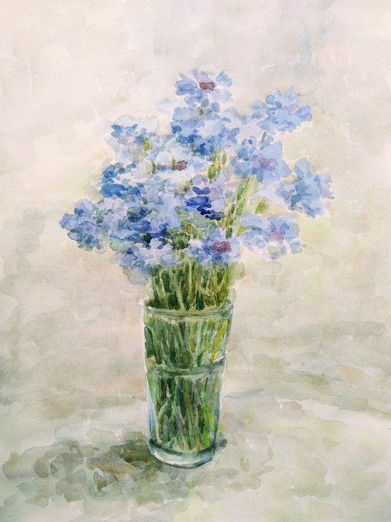 Cornflowers. Original watercolour painting.