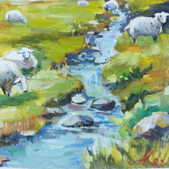 Pasture with sheep