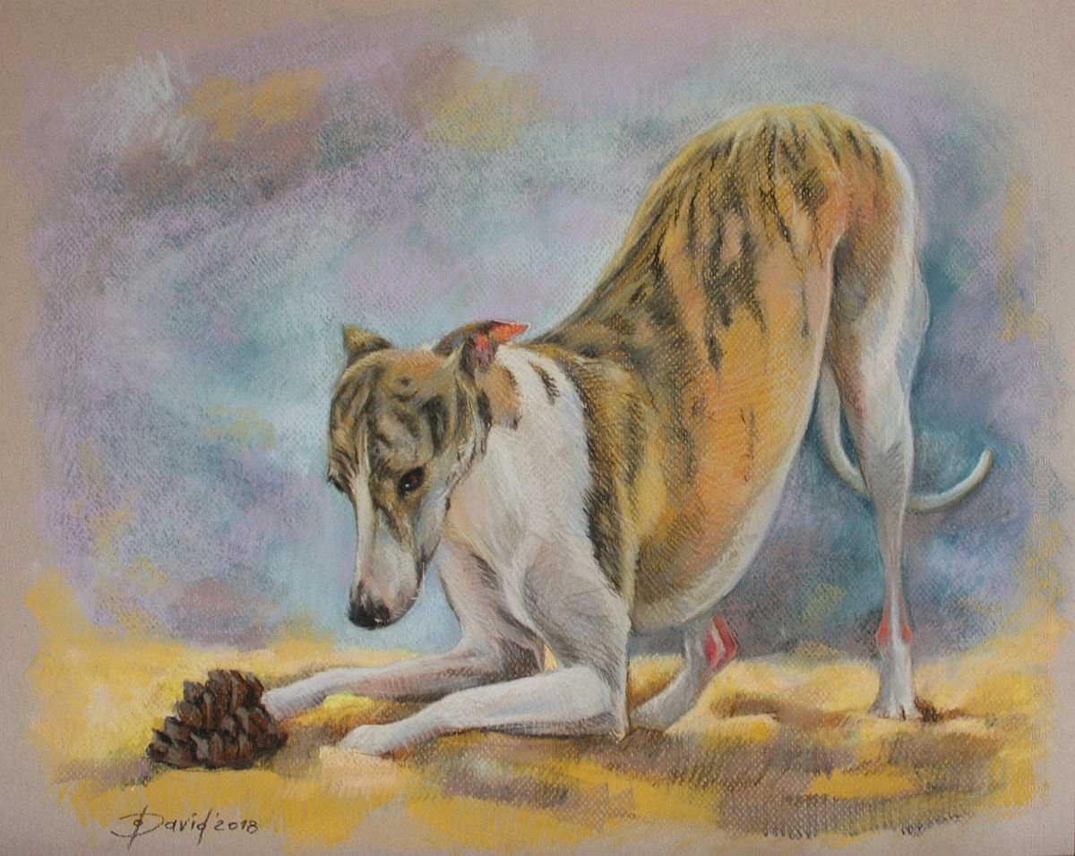Photorealistic Animal Pastel Drawing By Olga David, 20 X 16", Whippet, Original Artwork