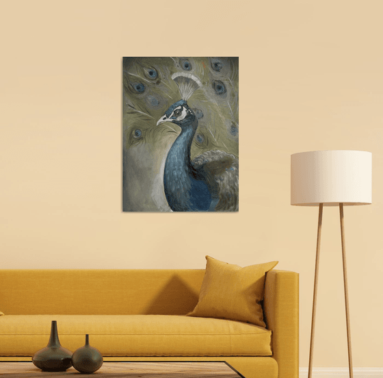 Portrait of a Peacock