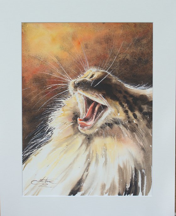 Maine Coon Cat (Passepartout)