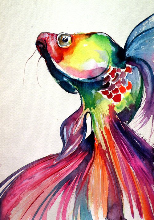 Colorful fish by Kovács Anna Brigitta