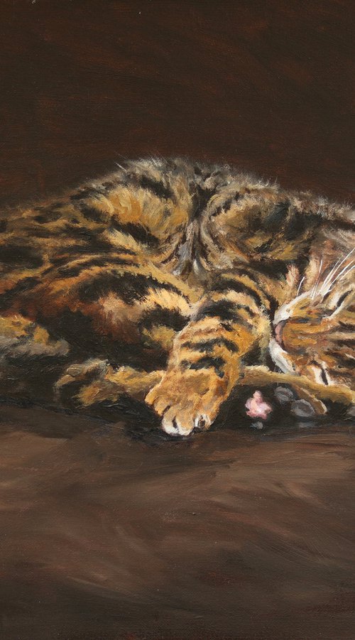 Sleeping Cat by Tom Clay
