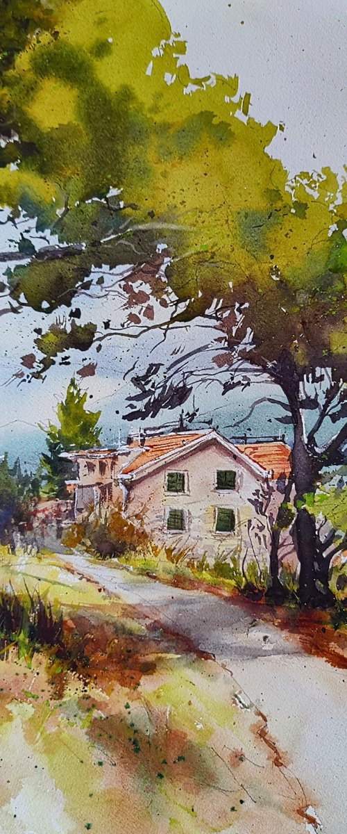 Croatian wilderness, Makarska riviera Dalmatia Original watercolor painting, Mediterranean Europe Impressionistic by Larisa Carli