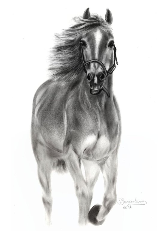 Oil painting ,, Horse ACE ,,