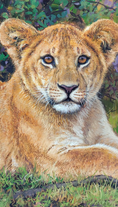 Lion cub by Gabriel Hermida