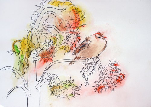 Sparrow... /  ORIGINAL PAINTING by Salana Art Gallery
