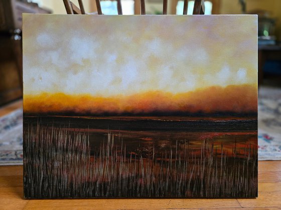 Marshland Solace