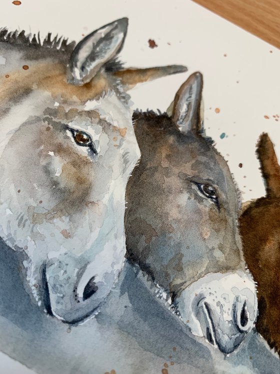 Watercolour Donkey Trio