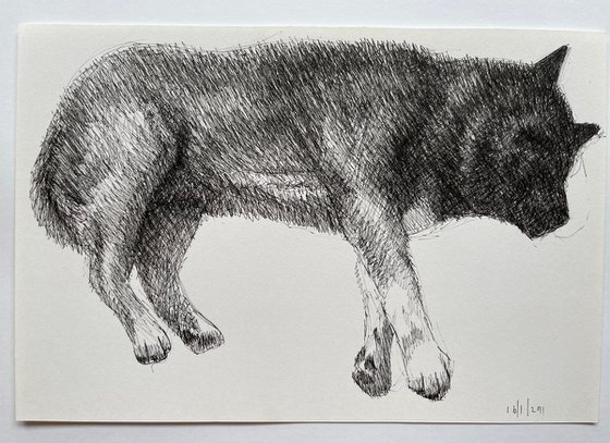 Doggy Dreams 6