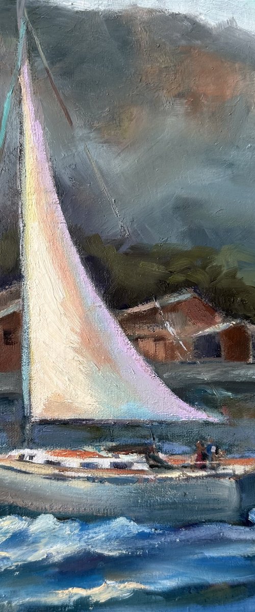 Sailing Dana Point by Grace Diehl