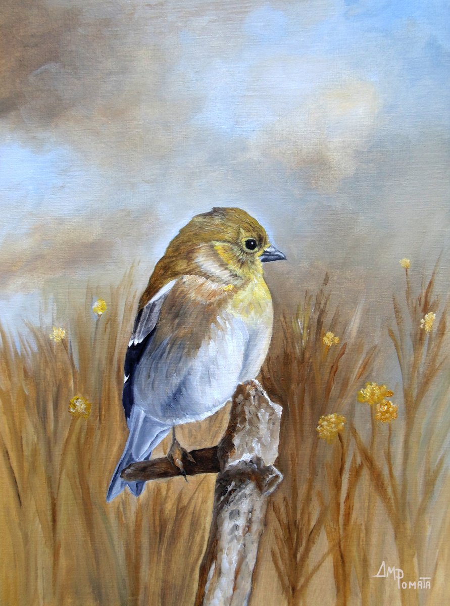 Impressionistic Animal Oil Painting By Angeles M. Pomata, 10 X 13, American Goldfinch In The Fall, Original Artwork
