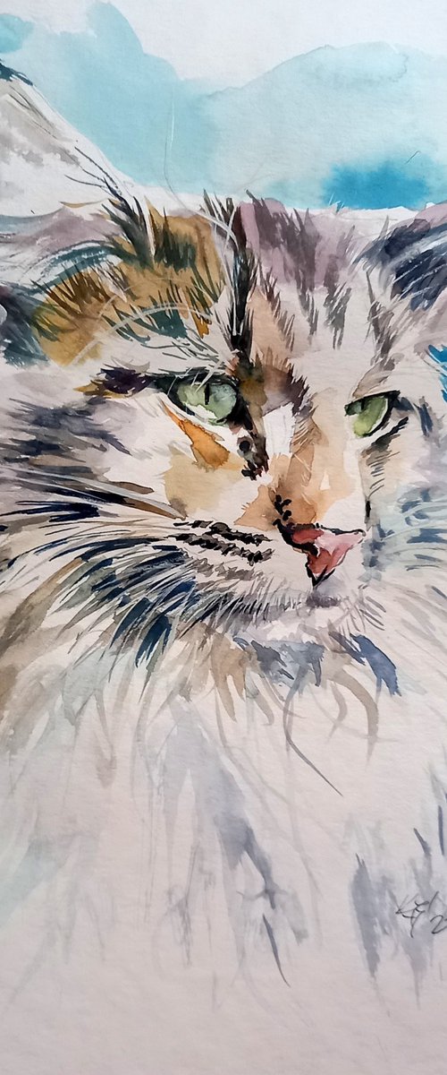 Cat portrait by Kovács Anna Brigitta