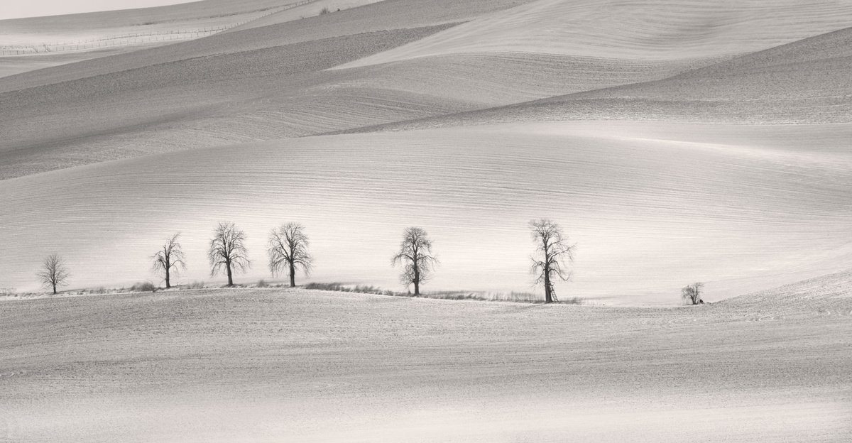 Moravia 8. Snow 1 by Pavel Oskin