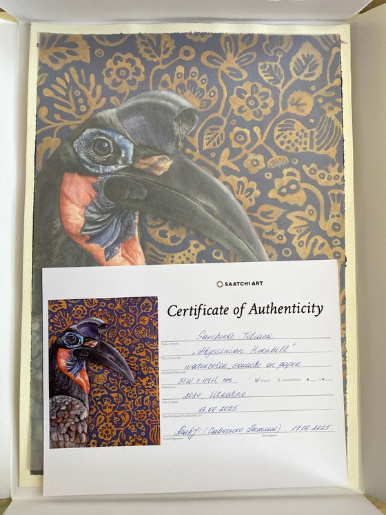 Ground Hornbill, bird portrait
