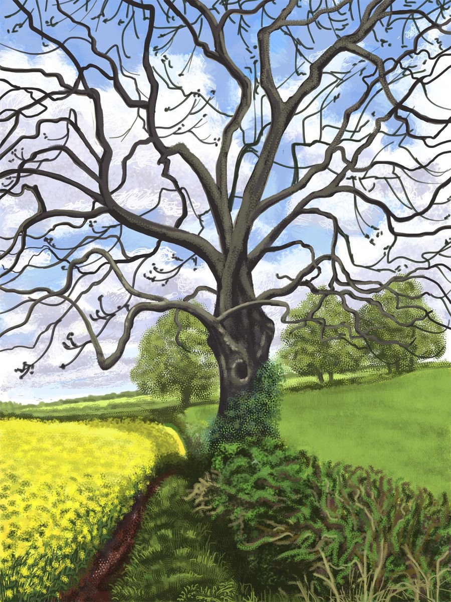 Oulston Tree by Jeff Parker