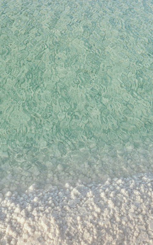 Into the water by Lidiya Dmitrieva