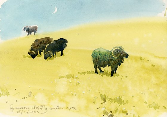 Landscape with sheep and new moon.