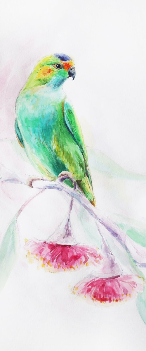 Bird by Anna Shchapova