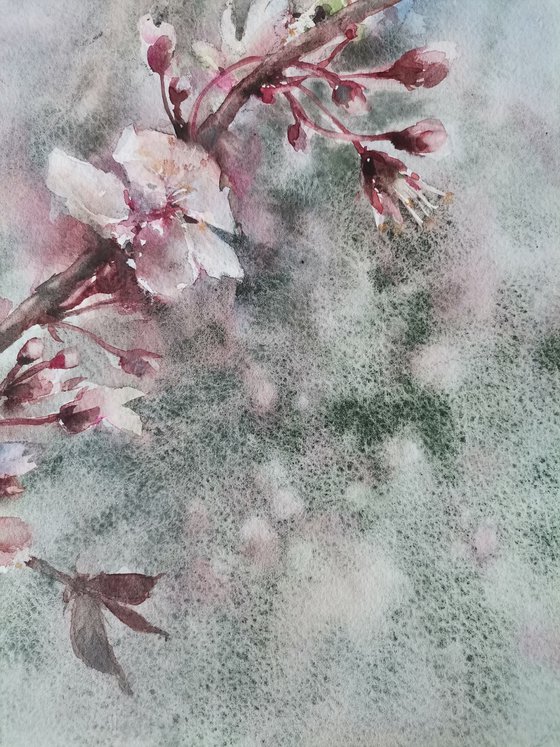 Blooming trees