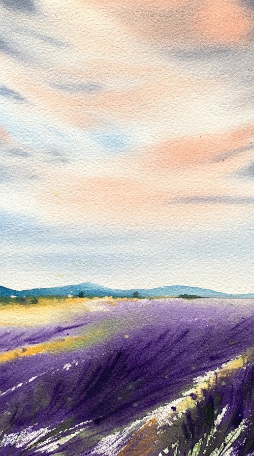 Lavender fields by Anna Zadorozhnaya