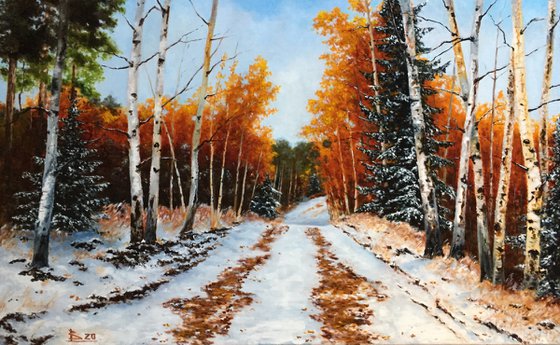 "The first snow in forest"