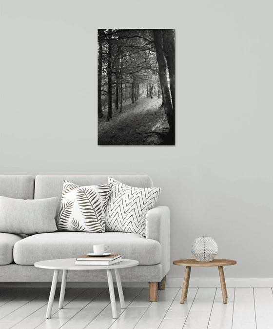 Northern Woods 9 - Unmounted (30x20in)