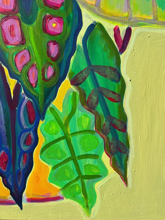 Alocasia Study IV