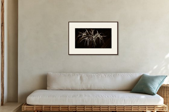 living nature 06
