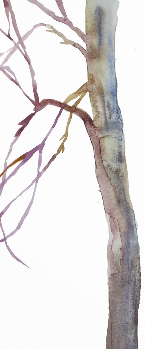 Tree Study No. 41 by Elizabeth Becker